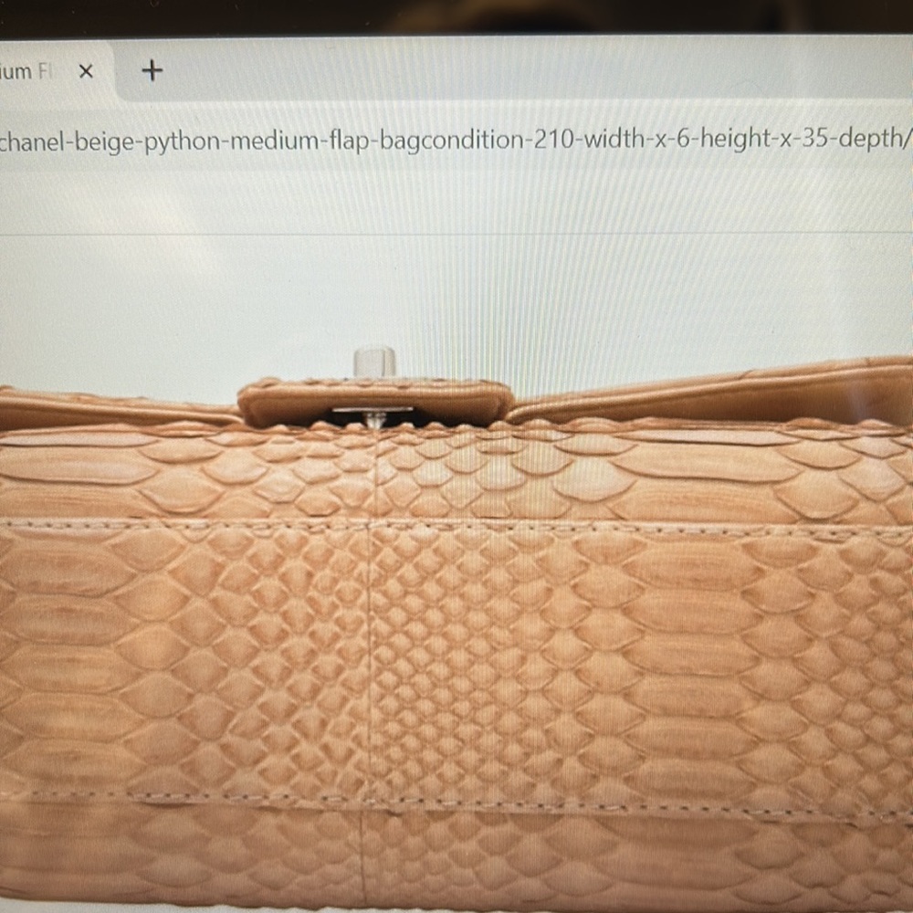 Chanel Beige Python Medium Flap Bag - image 4